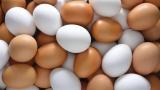Sự khác biệt lớn nhất giữa trứng gà vỏ nâu và vỏ trắng: Chuyên gia giải đáp thắc mắc loại nào tốt hơn
