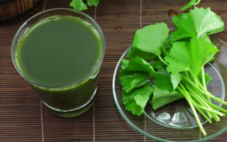 4 công thức trị mụn từ rau má vừa đơn giản dễ làm lại có hiệu quả bất ngờ