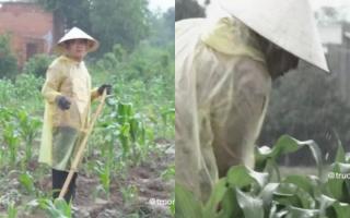 Trường Giang khiến đàn em bất lực khi đội mưa gió làm vườn như nông dân thực thụ