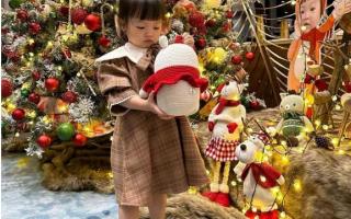 Sao Việt trang trí cây thông trước thềm Noel: Phạm Hương chơi trội, Cường Đô la dựng hẳn cây khổng l
